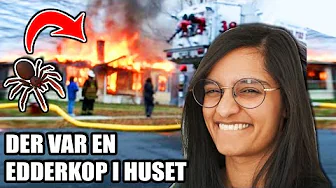 Edderkopper!? KILL IT WITH FIRE!