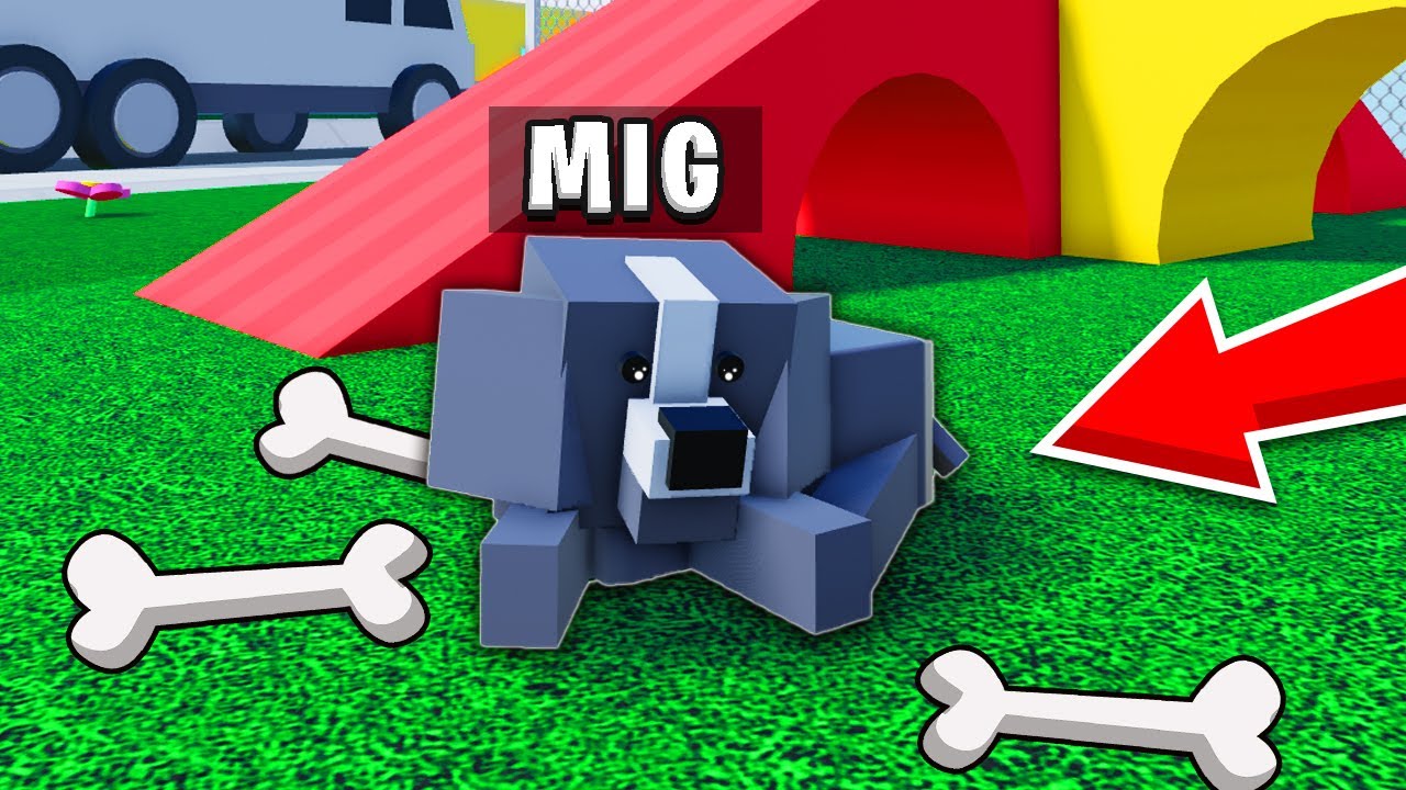 Livet Som Et KÆLEDYR I Roblox!