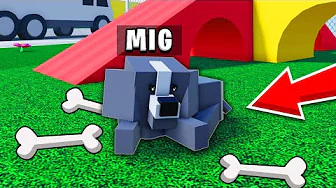 Livet Som Et KÆLEDYR I Roblox!