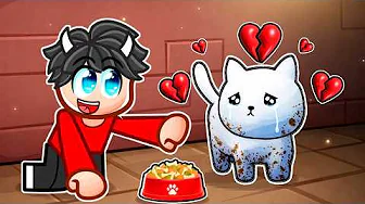 Jeg Hjalp HJEMLØSE Katte I Roblox Care For Cats!
