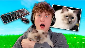 Jeg Spiller Fortnite Med Min KAT!