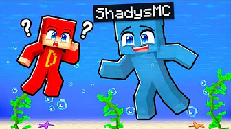 Hvem Vinder Farve Gemmeleg I Minecraft?