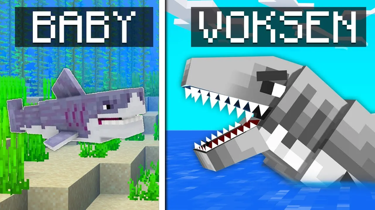 Et Helt Liv Som HAJ I Minecraft!