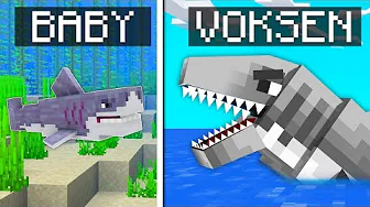 Et Helt Liv Som HAJ I Minecraft!