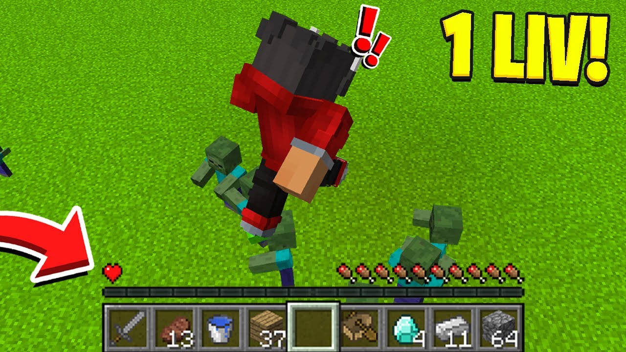 Minecraft, Men Jeg Har Kun 1 Liv!