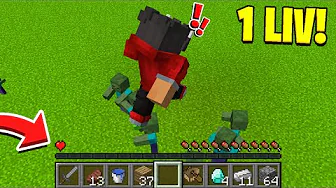 Minecraft, Men Jeg Har Kun 1 Liv!