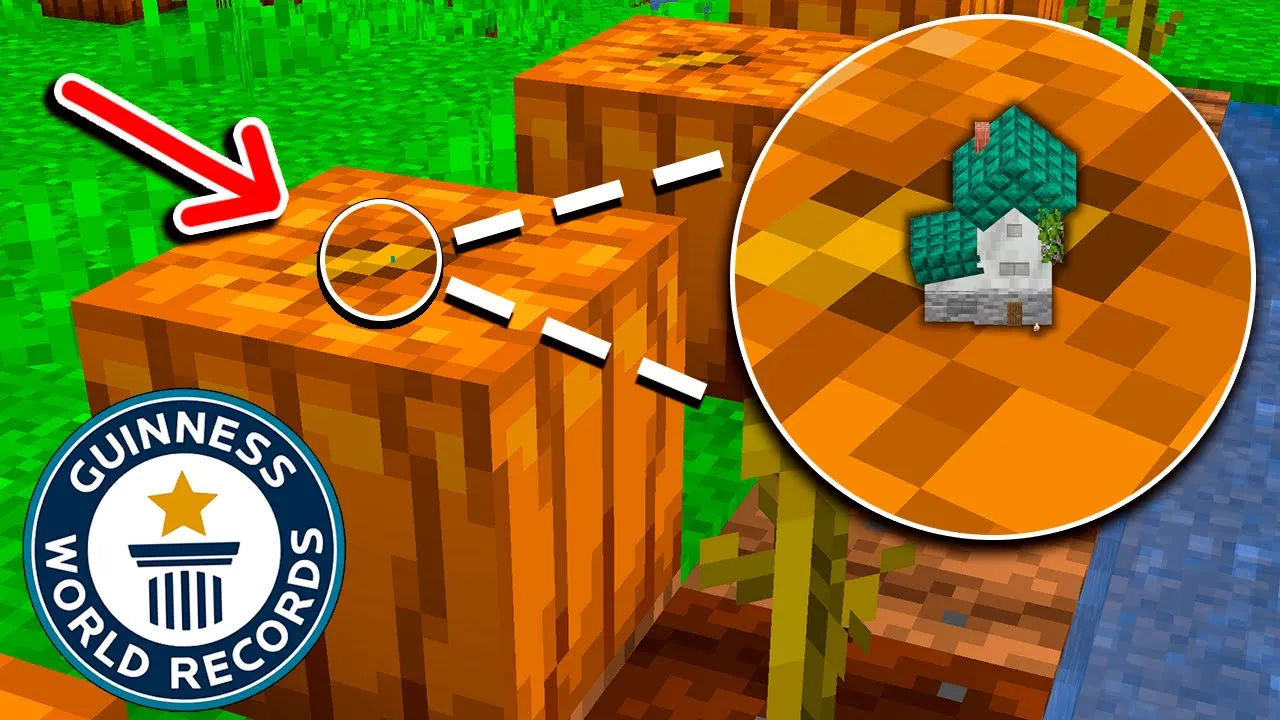 Det Her Er VERDENS MINDSTE HUS I Minecraft! (Verdens Rekord)