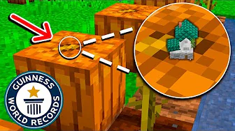 Det Her Er VERDENS MINDSTE HUS I Minecraft! (Verdens Rekord)