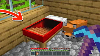 Hvis Jeg Finder Den HEMMELIGE BASE Får Jeg...