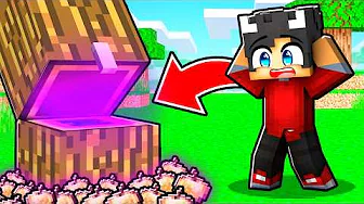 Jeg Kan Åbne ALT I Minecraft!