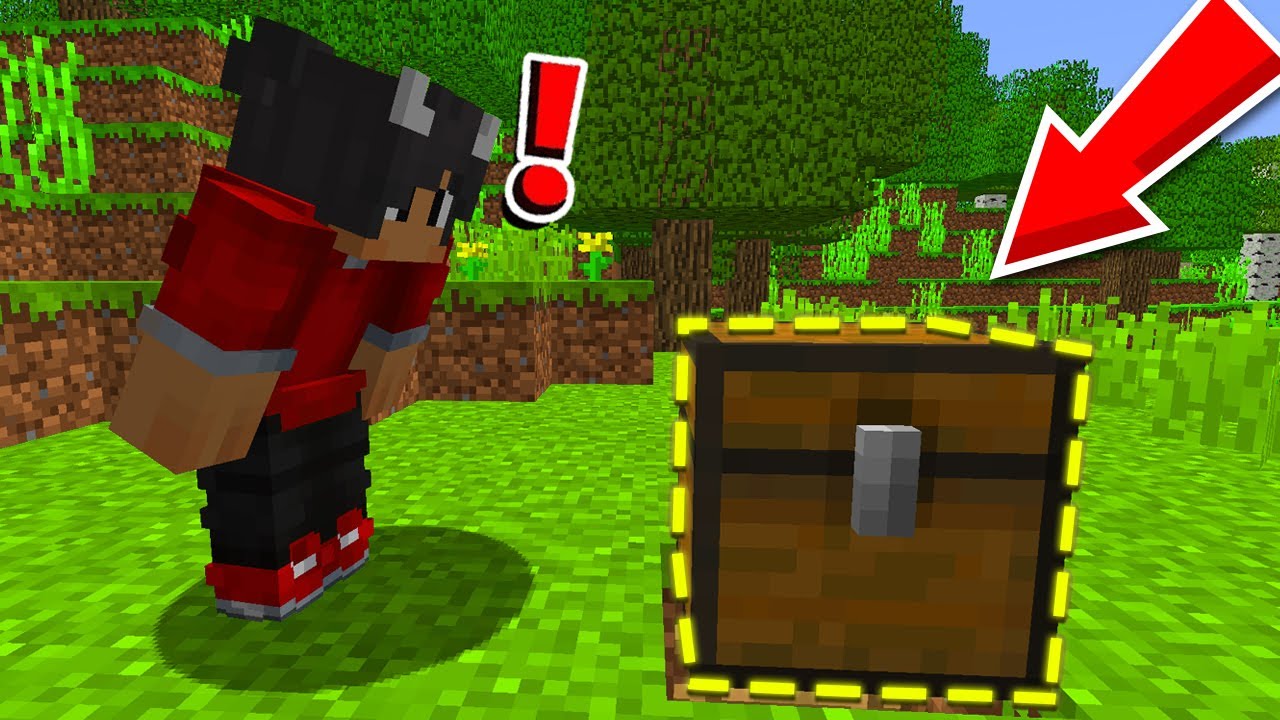 Mine Følgere Vælger Min Hemmelige Base I Minecraft!