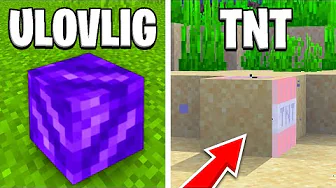 33 Facts Du Ikke Kendte Om Minecraft!