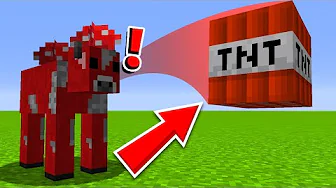 Mobs Kaster TNT Efter Dig I Minecraft!