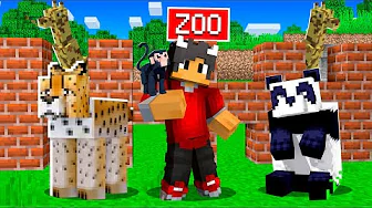 Jeg Bygger Min Egen ZOO I Minecraft!