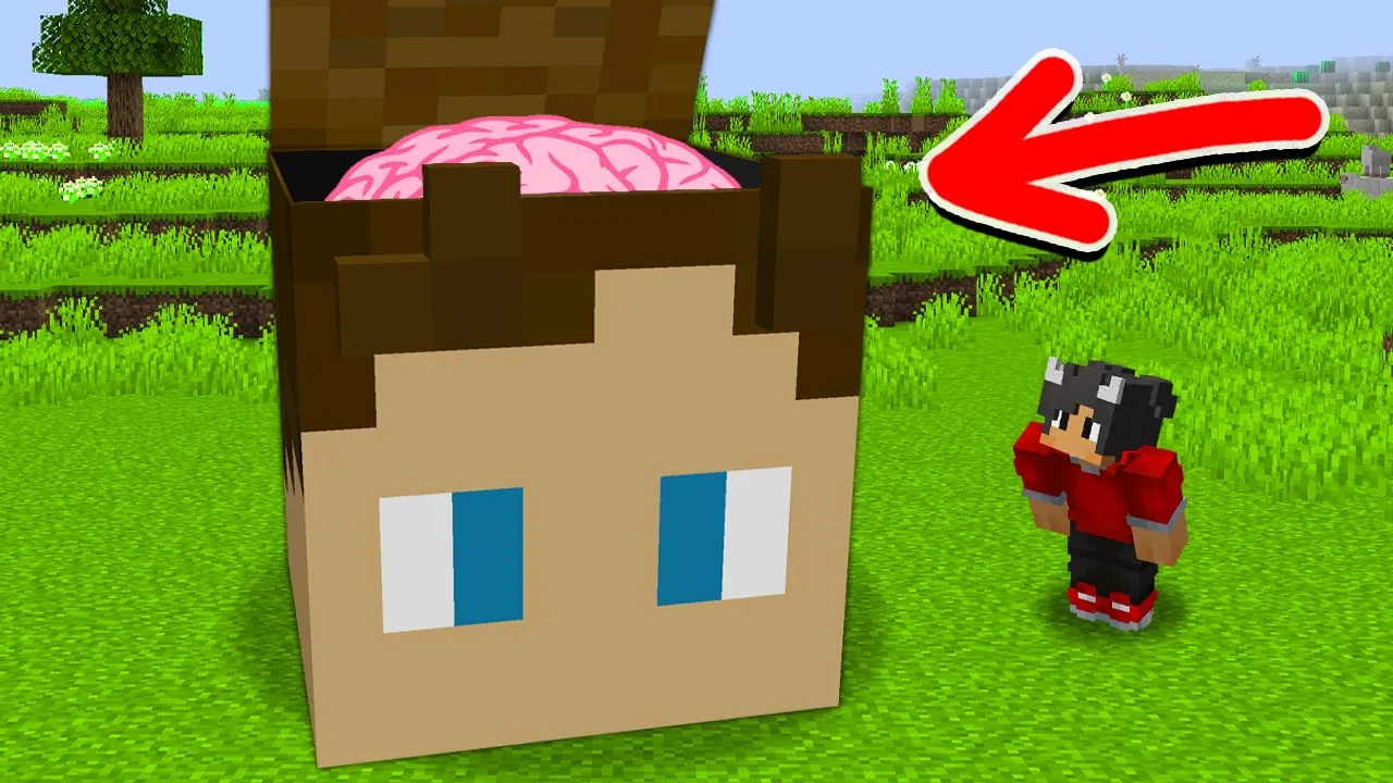 Hvad Er Der Inde I JUDEX Hoved I Minecraft?