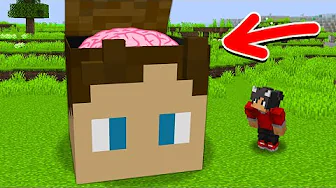 Hvad Er Der Inde I JUDEX Hoved I Minecraft?