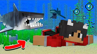 Kan Jeg Overleve Imod FARLIGE HAJER I Minecraft?