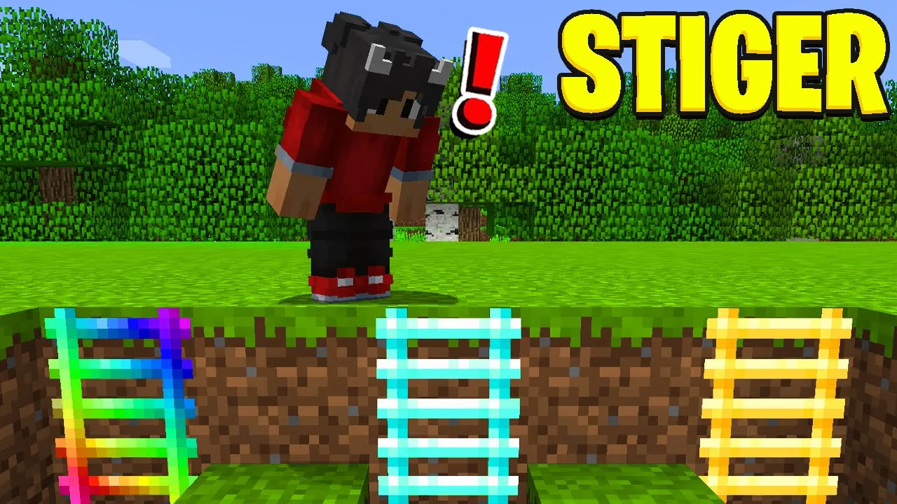 Hvilken Stige Vælger Du I Minecraft?