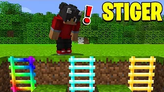 Hvilken Stige Vælger Du I Minecraft?