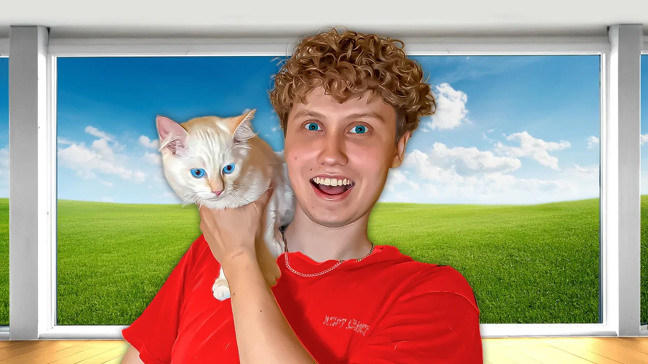 Jeg Har Fået Endnu En Kat...