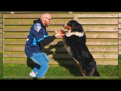 Kan Du Fat Det? (Officiel Baghave Musikvideo)