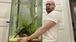 30.000 kr på akvarier - HOVSA!? (Vlog #16)