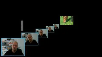 Alle kan lave reaction videoer