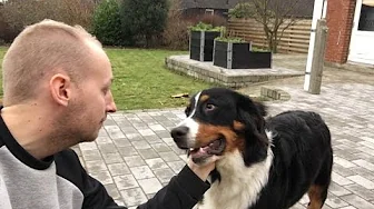 En helt almindelig lørdag