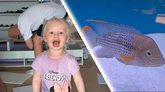 Stella Vælger Nye Fisk