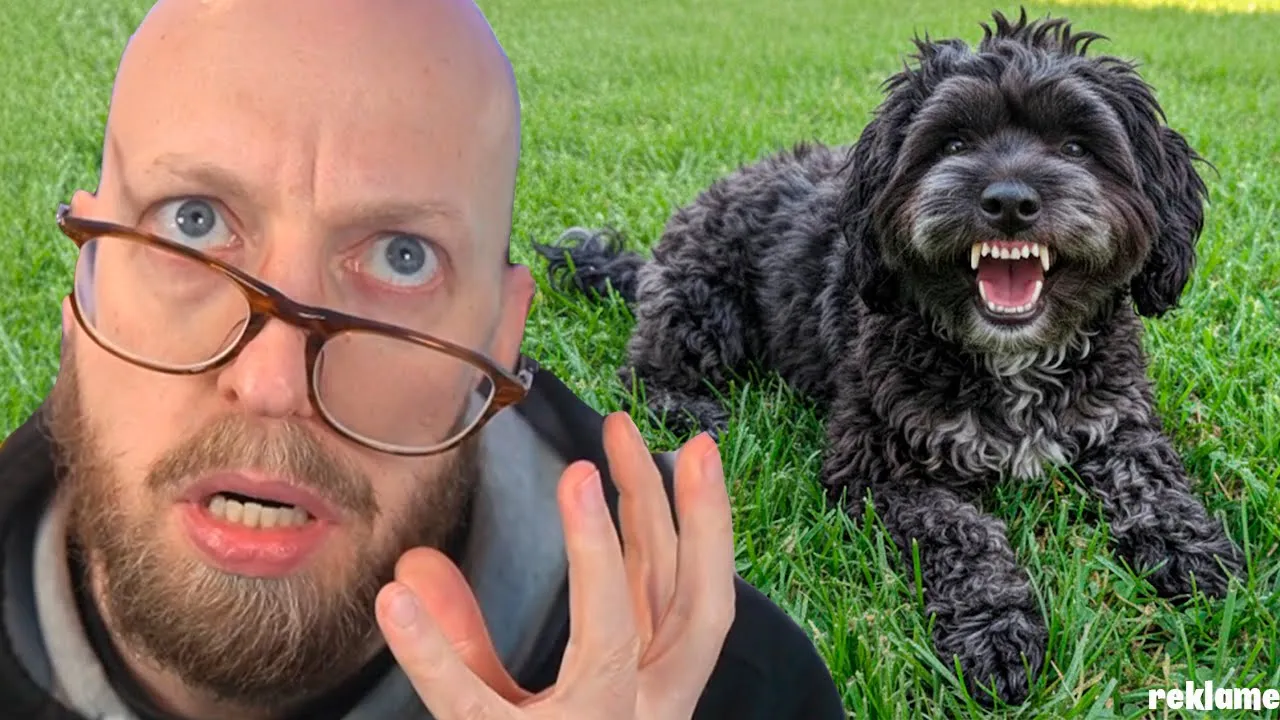 Min Nye Hund Pøllede På Mig