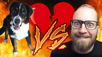 Anton Diss Track (Lil Pump Parodi)