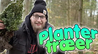 Planter Træer & Redder Planeten