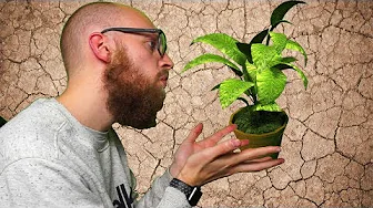 Jeg Er Til Planter Nu🌱