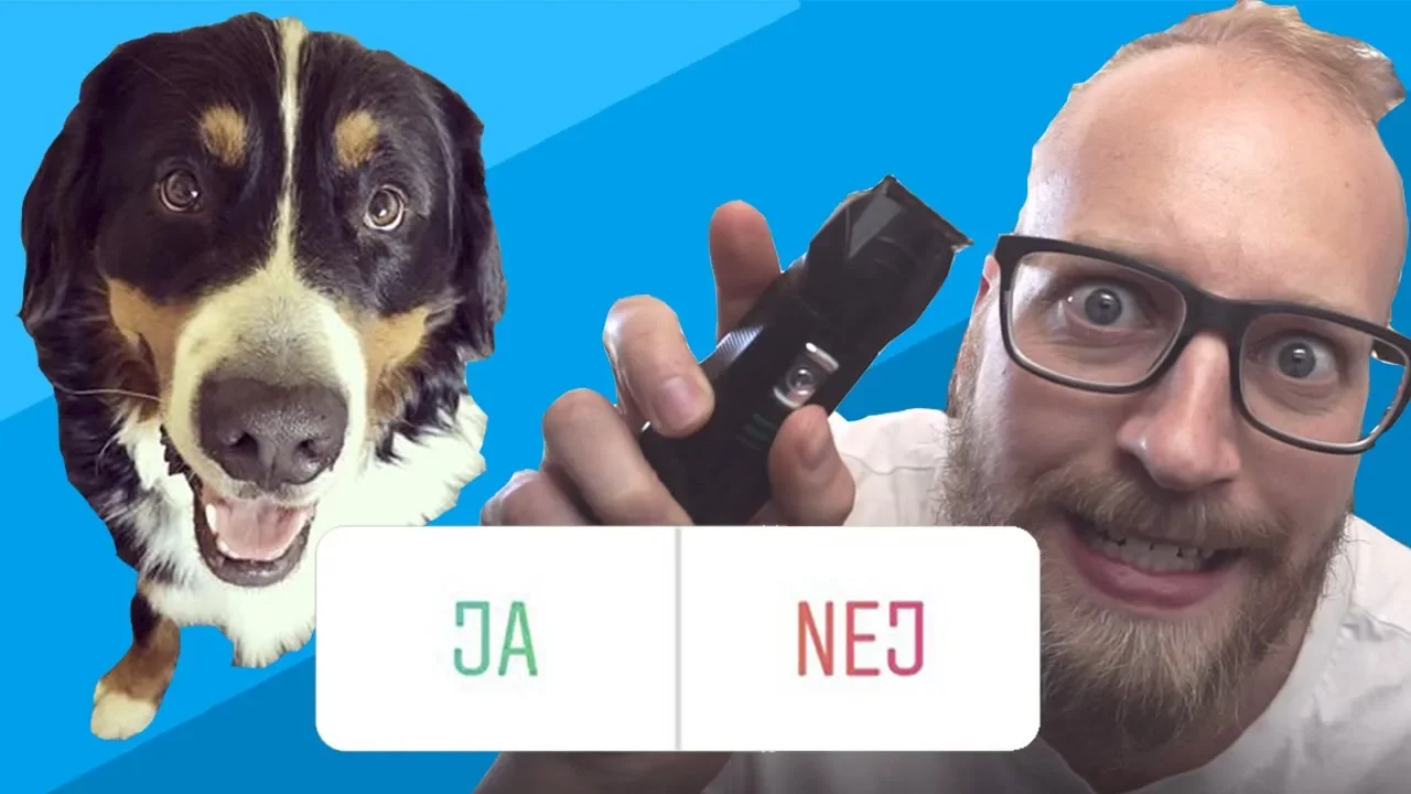 Mine Følgere Styrer Min Hunds Liv For En Dag