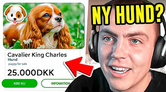 Skal Jeg Have En Hund?