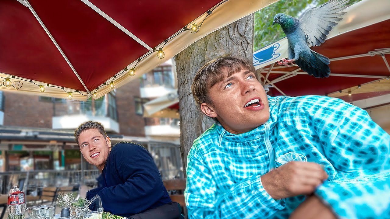 Vi Blev Angrebet af Fugle...