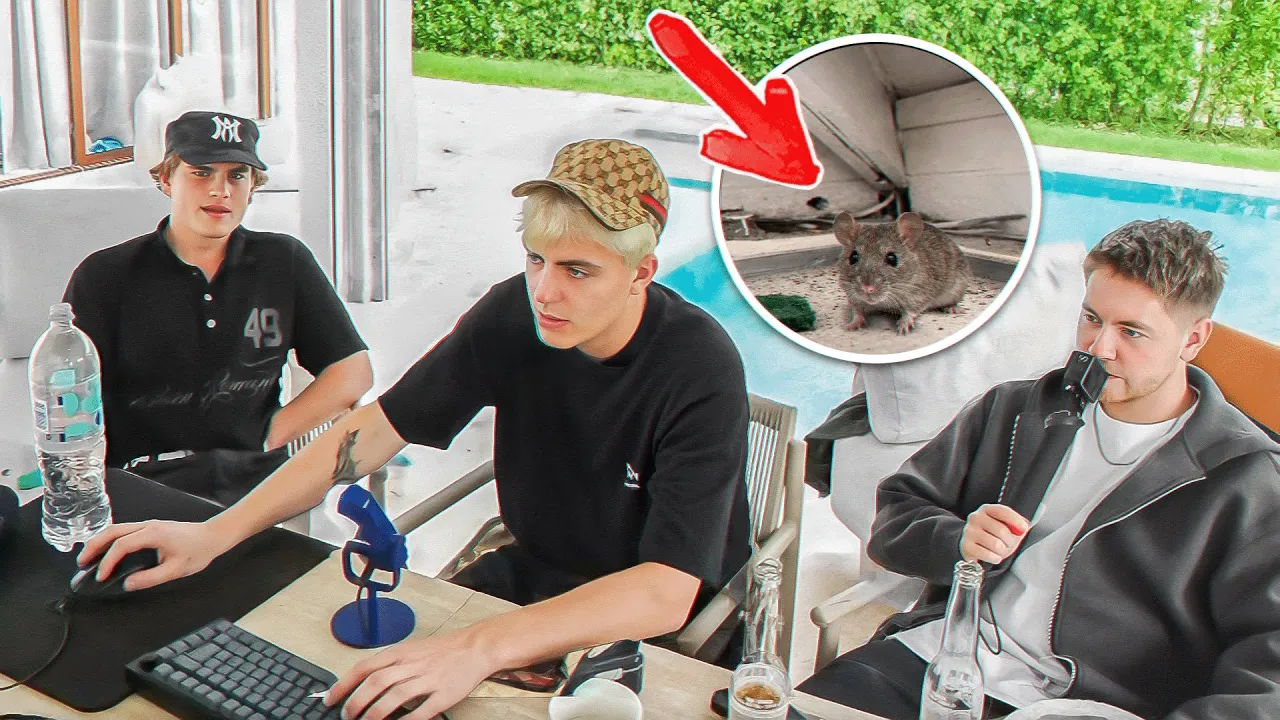 Vi Fandt Mus I Vores Airbnb...