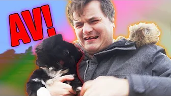 PASSER EN HUNDEHVALP