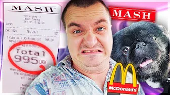 MIN HUND BESTEMMER MIN MAD I 24 TIMER