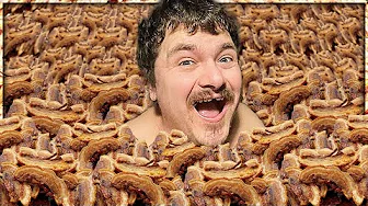 SLÅR REKORD I STEGT FLÆSK