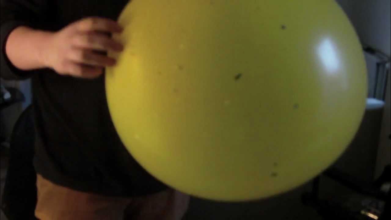 8000 Subs - Kæmpe ballon pustet op med NÆSEN! - Casper Vlogger