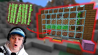NEM AUTOMATISK SUGARCANE FARM! - Minecraft: Ep 39