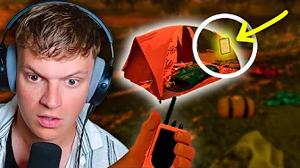 Det her er ikke et godt tegn - Firewatch (2/4)