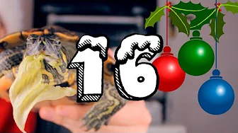 16. December - MED SKILLE! (Julekalender 2015)
