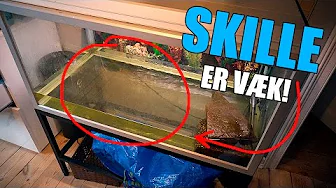 HVOR ER SKILLE?!