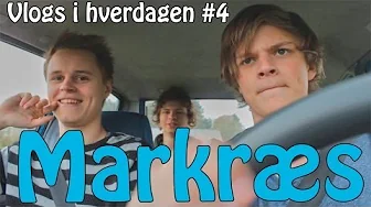 Vlogs i hverdagen #4 - Markræs