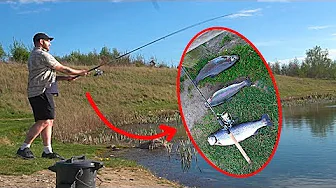 Fråder Fredag - Fanger en fisk og spiser den