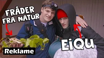 LORT, SVAMPE OG NATUR