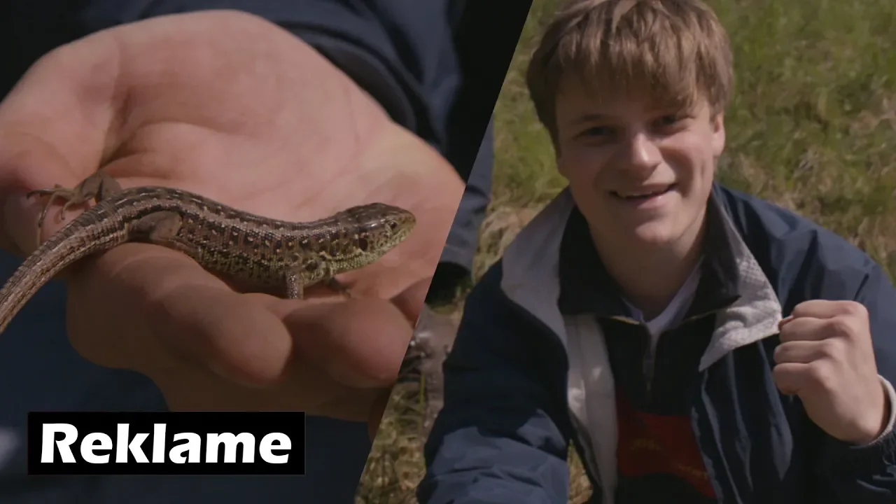 VI FINDER SJÆLDNE DYR