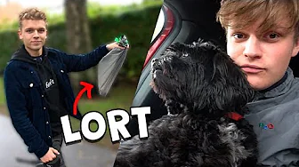 PASSER EN HUND I 24 TIMER